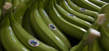bananes certifiées